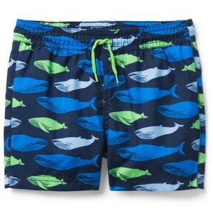 Janie and Jack Navy Whale Print Swim Trunk 12-18M